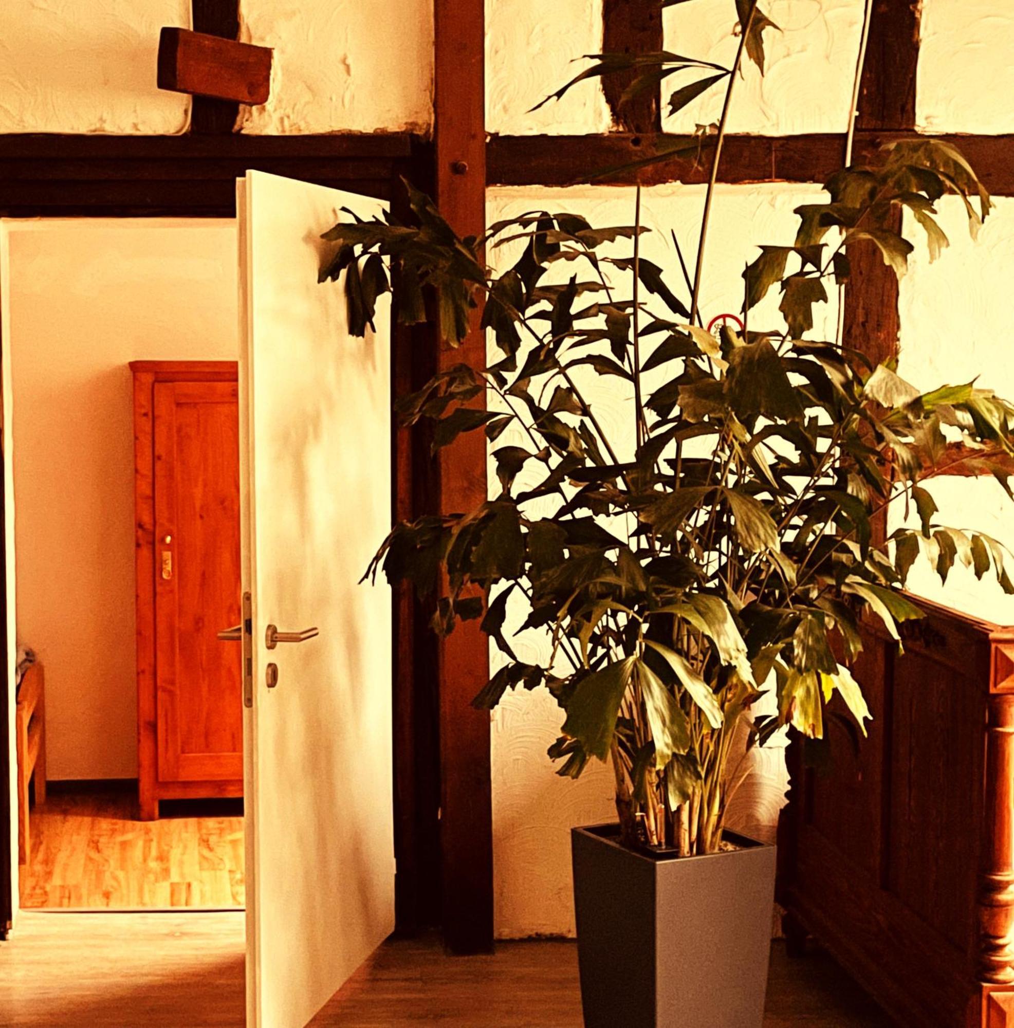 Hühnerstall Apartment *